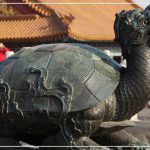 Драконочерепаха — мудрый покровитель и символ успеха в фэн-шуй